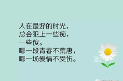 8字短句精辟,点睛之笔”