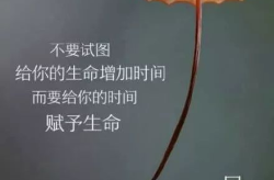 心灵鸡汤正能量短句,温暖心灵，照亮人生之路