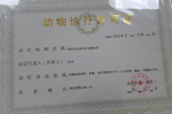 宠物饲养许可证,必备资料与流程解析