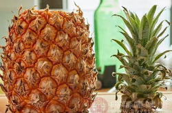 菠萝的功效,天然养生佳品，全面解析其功效与作用”