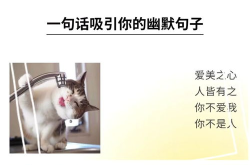 幽默风趣吸引人的句子,轻松驾驭聊天场！