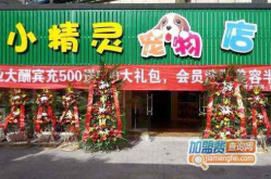 宠物店加盟,开启您的宠物事业新篇章