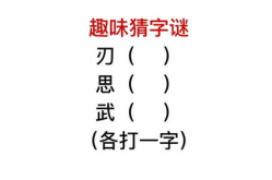 一个人猜一个字,揭秘猜字游戏中的趣味与智慧”