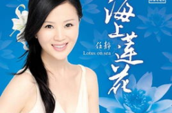 任静 写真,光影交织下的美丽瞬间