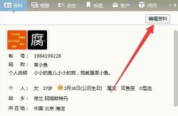 qq昵称,创意QQ昵称的独特艺术与流行文化解读