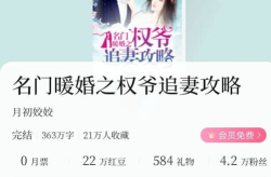 傅沉宋风晚小说免费阅读,豪门虐恋，爱恨交织的豪门情缘